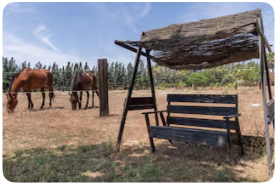 Guía Completa del Parque Nacional de Doñana