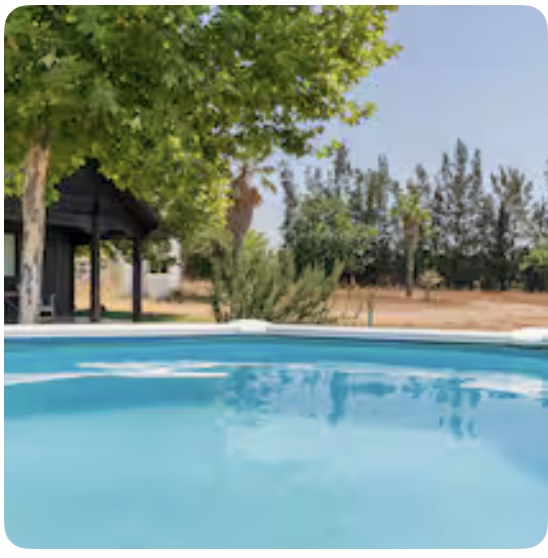 Observación de Aves en Doñana: Guía para Principiantes